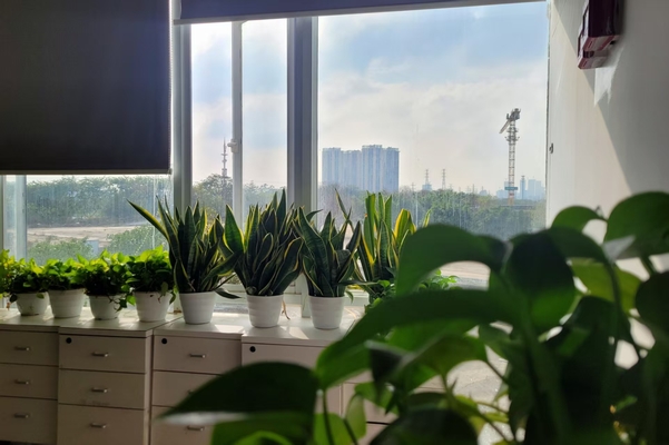 微信图片_20250307143429(1).jpg